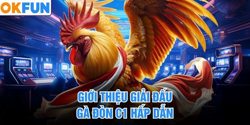 Giới thiệu giải đấu gà đòn C1 hấp dẫn